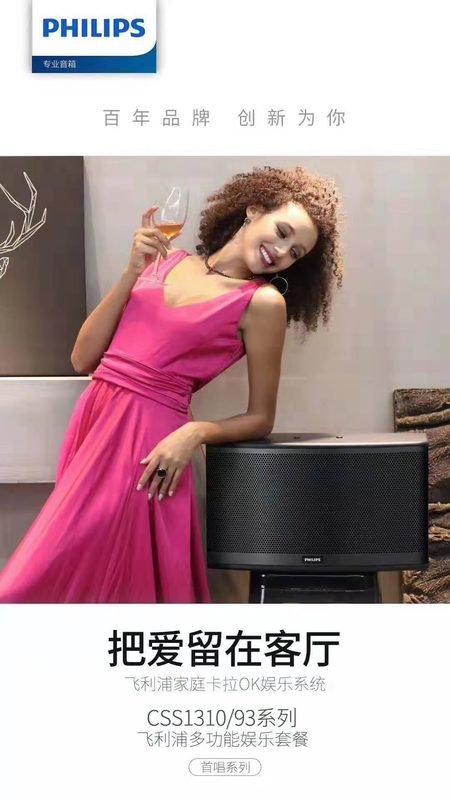 飞利浦音响独家代理 (13)