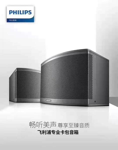飞利浦音响独家代理 (7)