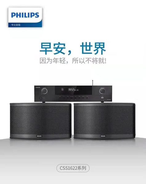 飞利浦音响独家代理 (6)