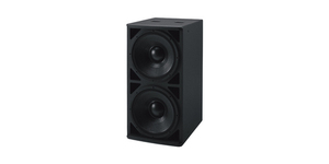 扬声器 (1)